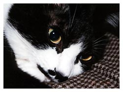 �L�|�[�g���[�g�ʐ^