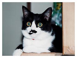 �L�|�[�g���[�g�ʐ^