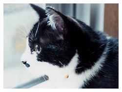 �L�|�[�g���[�g�ʐ^