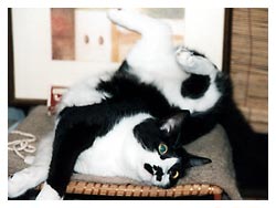 �L�|�[�g���[�g�ʐ^