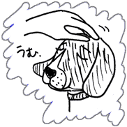 �������̌��@���Ƃ������C���X�g