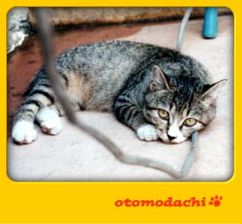 �ӂŁ@�L�Ƃ������ʐ^