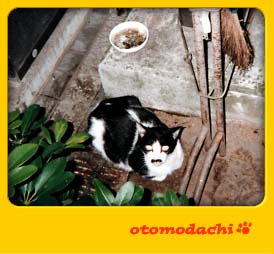 �Ђ�Jr.�@�L�Ƃ������ʐ^