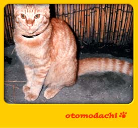 �����@�L�Ƃ������ʐ^