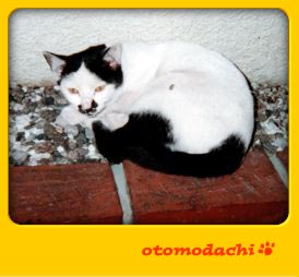 ����@�L�Ƃ������ʐ^