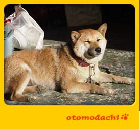 �܂Ԃ������@���Ƃ������ʐ^