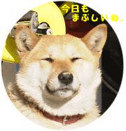 �܂Ԃ������@���Ƃ������ʐ^