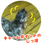 �����̃��L�����@���Ƃ������ʐ^