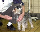 �����̃��L�����@���Ƃ������ʐ^