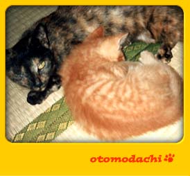 ������@�L�Ƃ������ʐ^