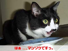 �͂�...�}���]�N�ł����B