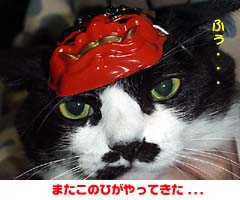 �����߁F�܂����̓�������Ă���