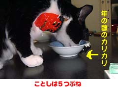 ���Ƃ���5�Ԃ�