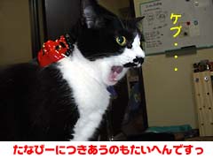 �����߁F���Ȃс[�ɂ������̂������ւ�ł���