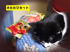 �T���^�̂��΂��񂪂���Ă���