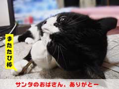 �T���^�̂��΂���A���肪�Ɓ[