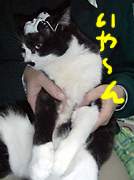 �����߂̂܂߂܂�2003