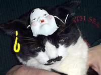 �����߂̂܂߂܂�2003