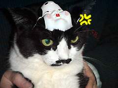 �����߂̂܂߂܂�2003