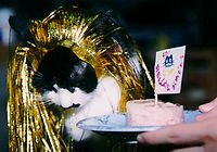 �����񂶂傤��'99