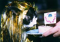 �����񂶂傤��'99