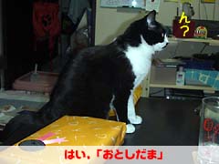 ���Ƃ�����