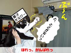 ���Ƃ�����