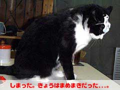 �����߁F���܂����B���傤�͂܂߂܂�������...�B