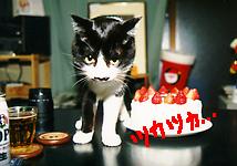 �N���X�}�X�P�[�L