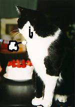 �N���X�}�X�P�[�L