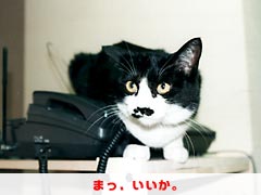 �܂��A�������B