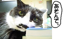 ������ōU��