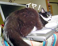 ������ōU��