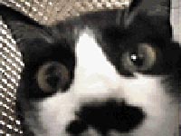 �����߂ƃr�f�I�J����