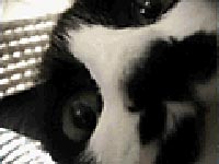 �����߂ƃr�f�I�J����