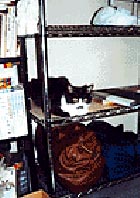 �����߈����z������