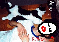 �����߈����z������