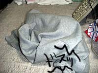 �g���[�i�[����