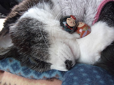 こうめとおひなさま こうめとおひなさま