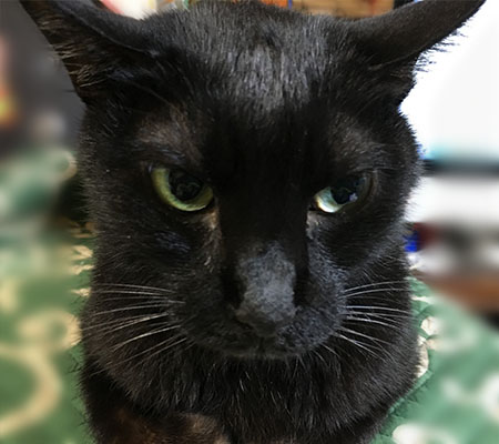 カメラ目線はダメ