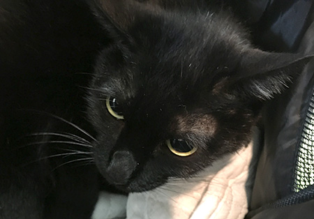 今日はお休みのはずですよね？