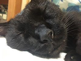 先生にホメられた