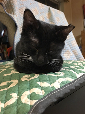 寝落ちのあられ