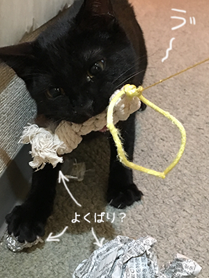 ちまき、警察犬?