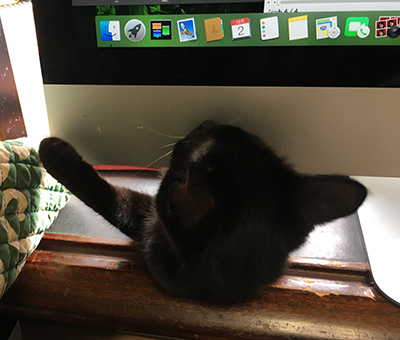 PCモニターの下からあられ登場