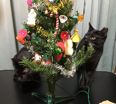 クリスマスツリーねこパニック