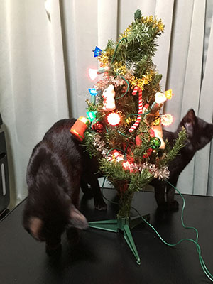 クリスマスツリーねこパニック