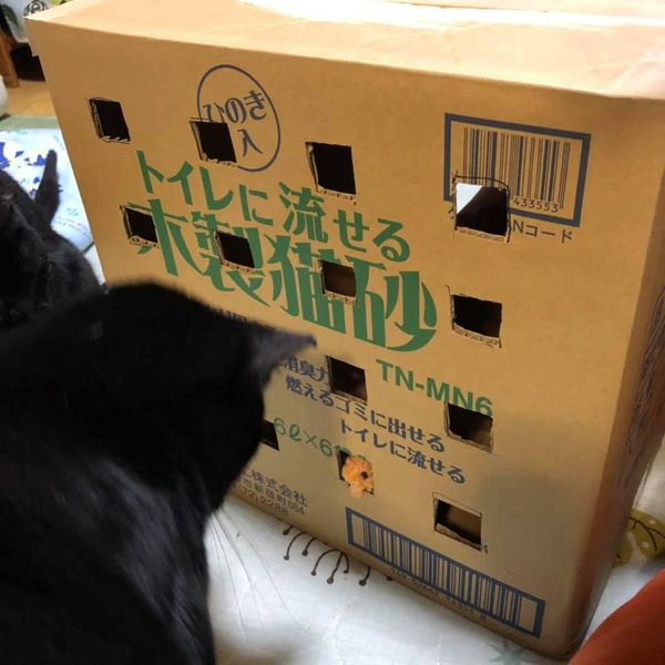 100804944_1166547950344592_2470799560453128192_n