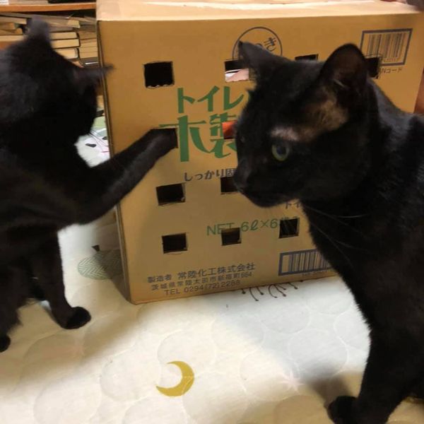 101674544_1166547997011254_2262844498180571136_n