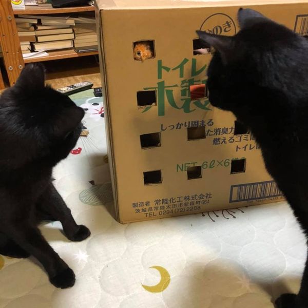 101897847_1166548013677919_3149970495680544768_n